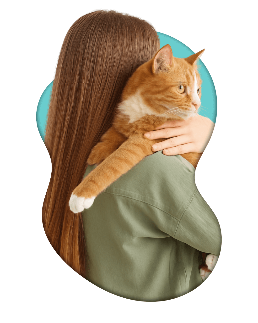 banner-MedCat-medicina-de-felinos-campinas